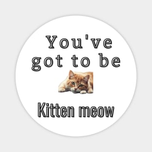 You've got to be kitten meow Magnet